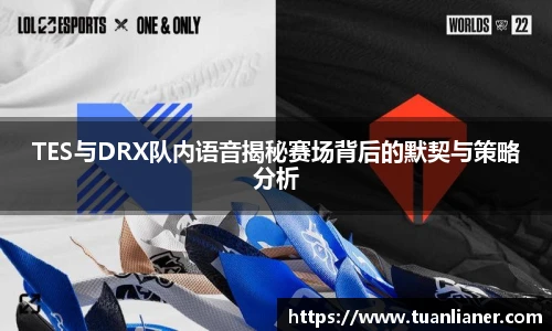 TES与DRX队内语音揭秘赛场背后的默契与策略分析