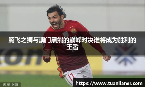 腾飞之狮与澳门黑熊的巅峰对决谁将成为胜利的王者