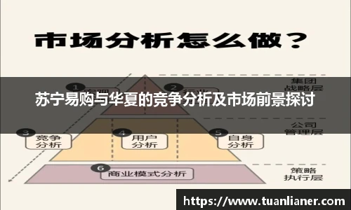 苏宁易购与华夏的竞争分析及市场前景探讨